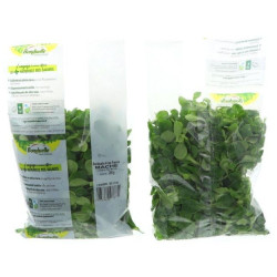 *PRODUIT BLOQUE* MACHE BONDUELLE F HORECA 8X500G